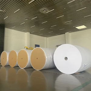 Elef&aacute;ntcsont famentes ofszetpap&iacute;r 60-120GSM tekercs/lapos csomagban